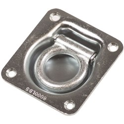 500kg Lashing Ring Z/P  